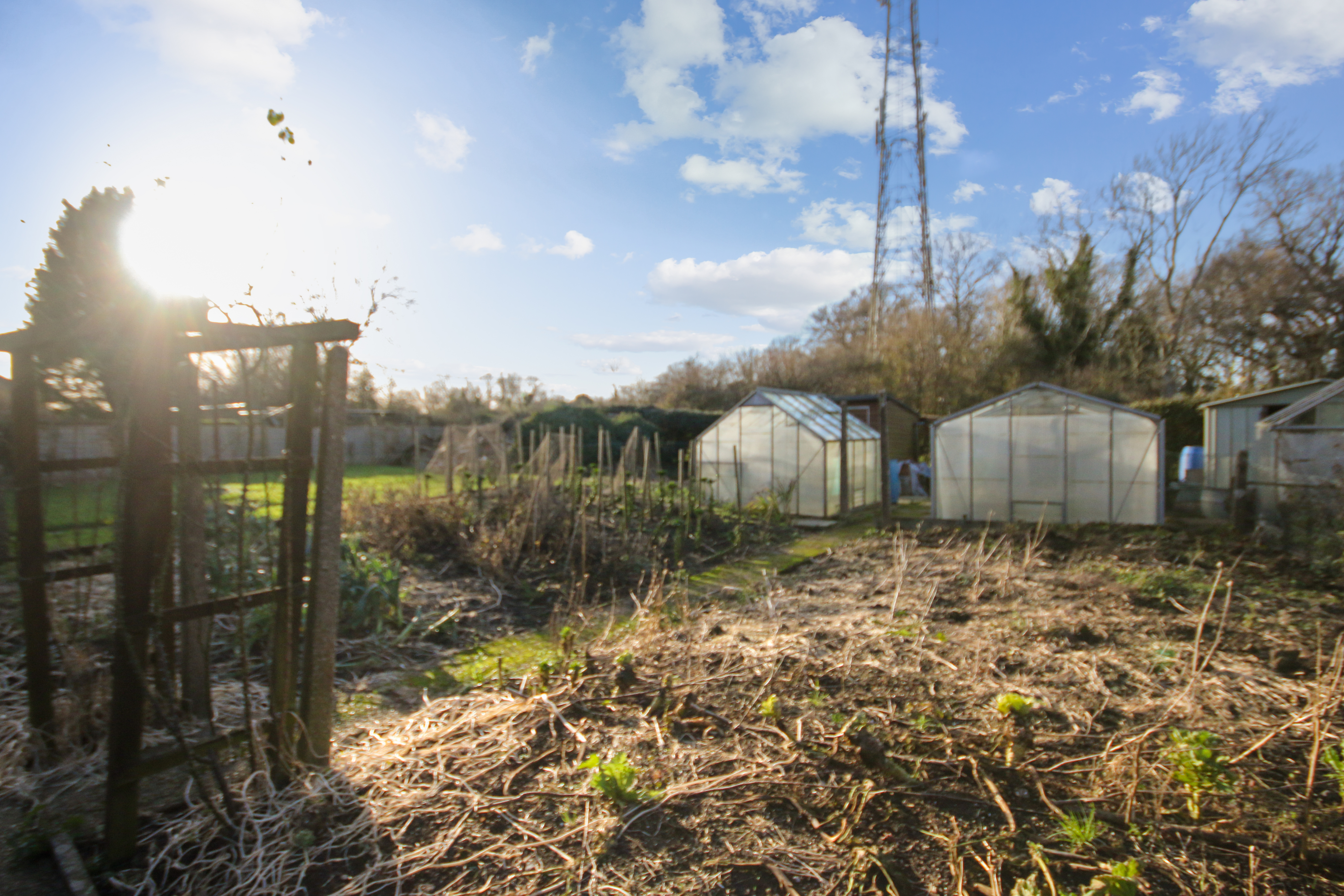 Broad Field, East Grinstead, West Sussex