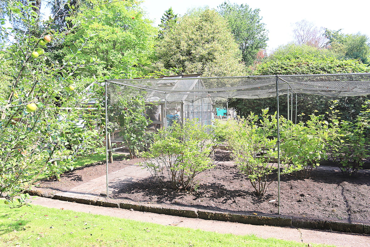 Southwood Road, Farnborough, GU14 0JQ