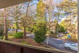 Woodland Court | Thumbnail