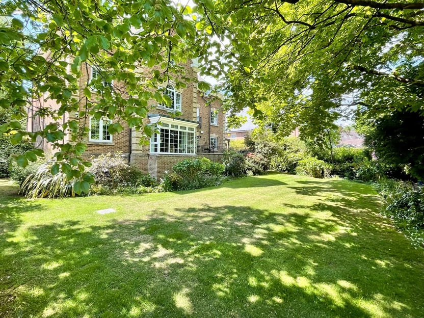 Image 22