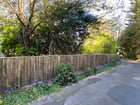 Thumb Image 20