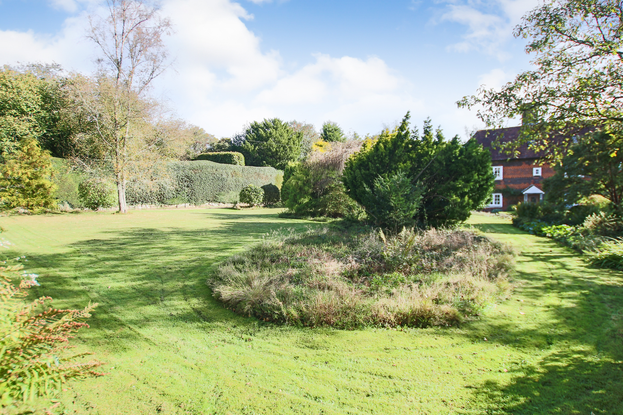 Selsfield Common, East Grinstead, West Sussex