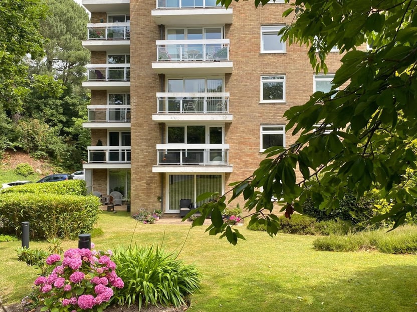 Image 11