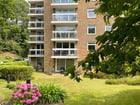 Thumb Image 11